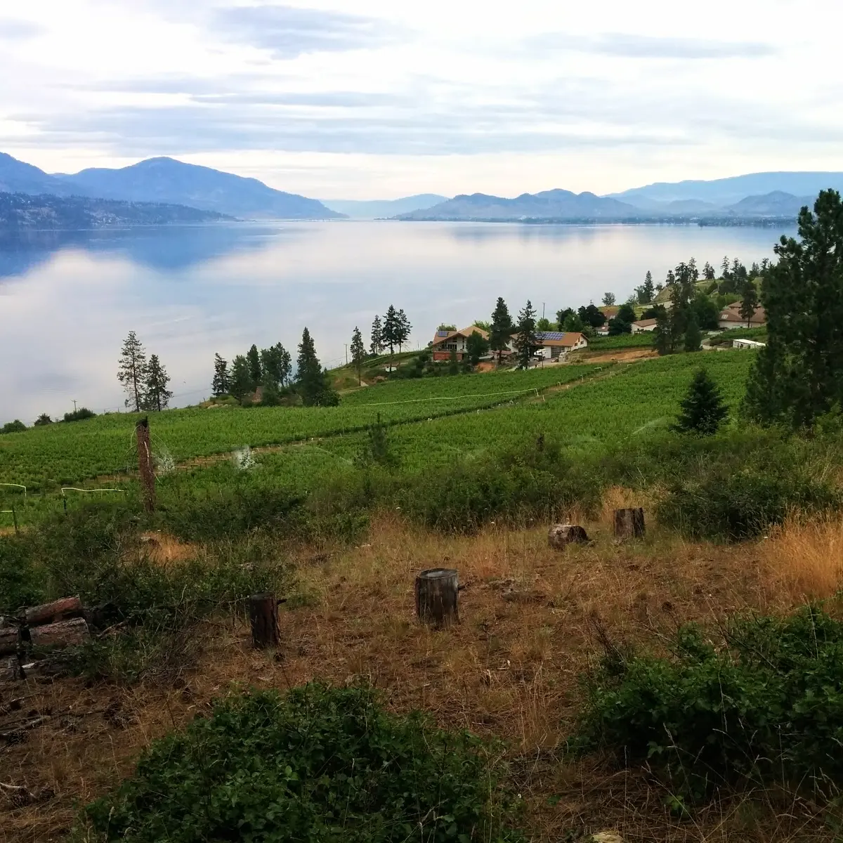 12 Best Coffee Shops in Kelowna You Need to Try!